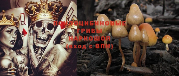 эйфоретик Алексеевка