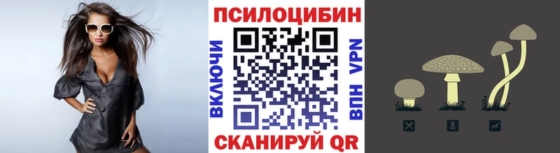 цены наркотик  Бийск  Галлюциногенные грибы мицелий 
